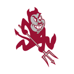 Sesser Valier High School mascot