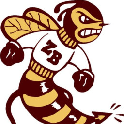 Zion Benton Township High School mascot