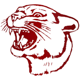 South Decatur Junior Senior High School mascot