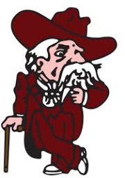 Henderson County High School mascot