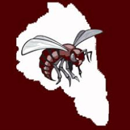 Magoffin County High School mascot