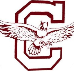 Chalmette High School mascot