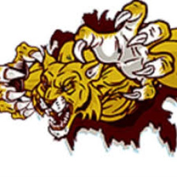 Converse High School mascot