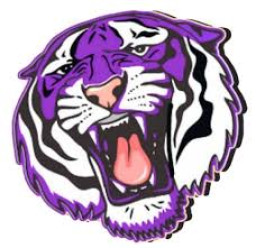 Bessemer City High School mascot