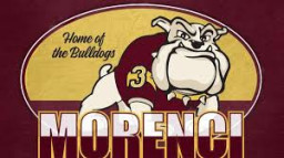 Morenci Area High School mascot