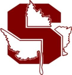 Seaholm High School mascot