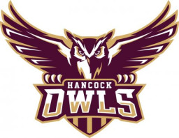 Hancock High School mascot