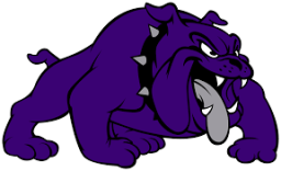 Fayetteville High School mascot