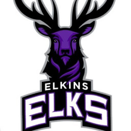 Elkins High School mascot