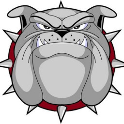 Terry High School mascot