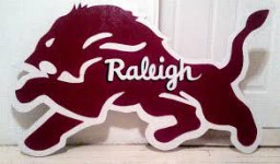 Raleigh High School mascot