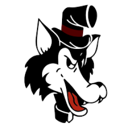 Wolf Point High School mascot