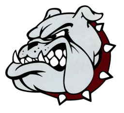 Jay M Robinson High School mascot