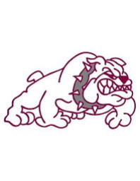 Bowman County High School mascot