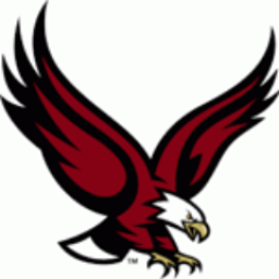 Arlington High School mascot