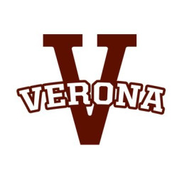 Verona High School mascot