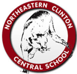 North Eastern Clinton Senior High School mascot