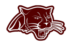 Stockbridge Valley Central High School mascot