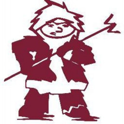 Town Of Webb School mascot