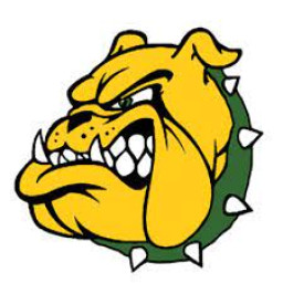 Doddridge County High School mascot