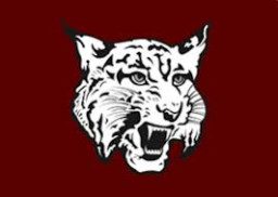 Charlotte Valley School mascot