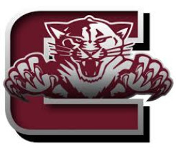 Coleman High School mascot