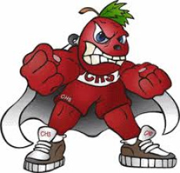 Cranberry Area Junior Senior High School mascot