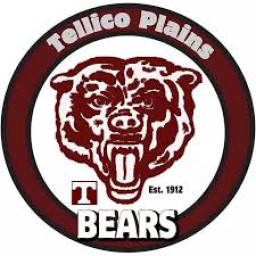 Tellico Plains High School mascot