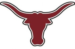 Johnson County High School mascot