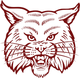 Cypress Fairbanks High School mascot