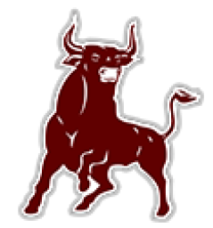 Bridgeport High School mascot