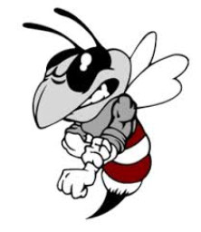 Athens High School mascot