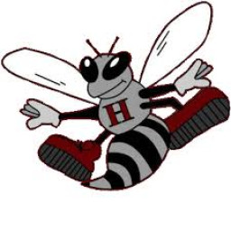 Hudson High School mascot