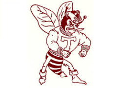 Tulia High School mascot