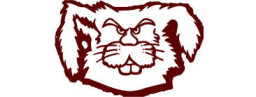 Bowie High School mascot