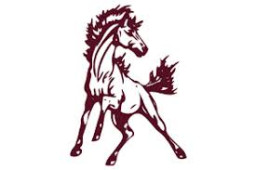 Bovina High School mascot