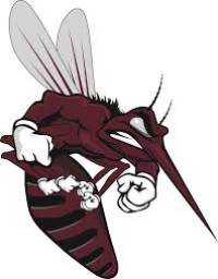 Mesquite High School mascot