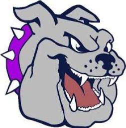 Sheffield High School mascot