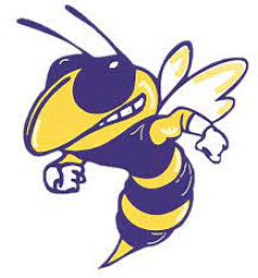 WInstituteon County High School mascot