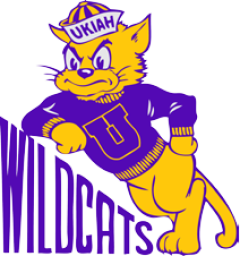 Ukiah High School mascot