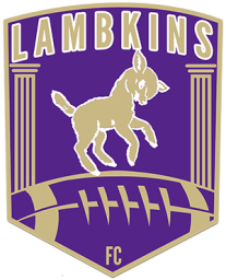 Ft Collins High School mascot