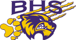 Bayfield High School mascot