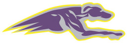 Jones County High School mascot