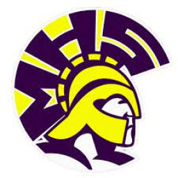 Mendota Township High School mascot