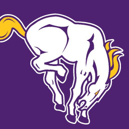 Lakin High School mascot