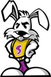 Somerset High School mascot