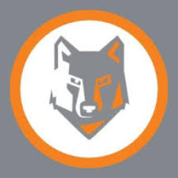 Mercy McAuley High School mascot