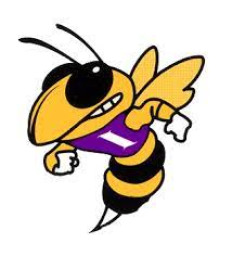 Iowa High School mascot