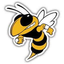 Denham Springs High School mascot