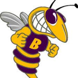 Byrd High School mascot